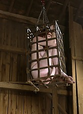 Wild BDSM photo 8 of 10