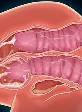 Get her Knocked UP photo 9 of 10