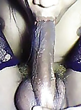 Amateur Shemales photo 1 of 